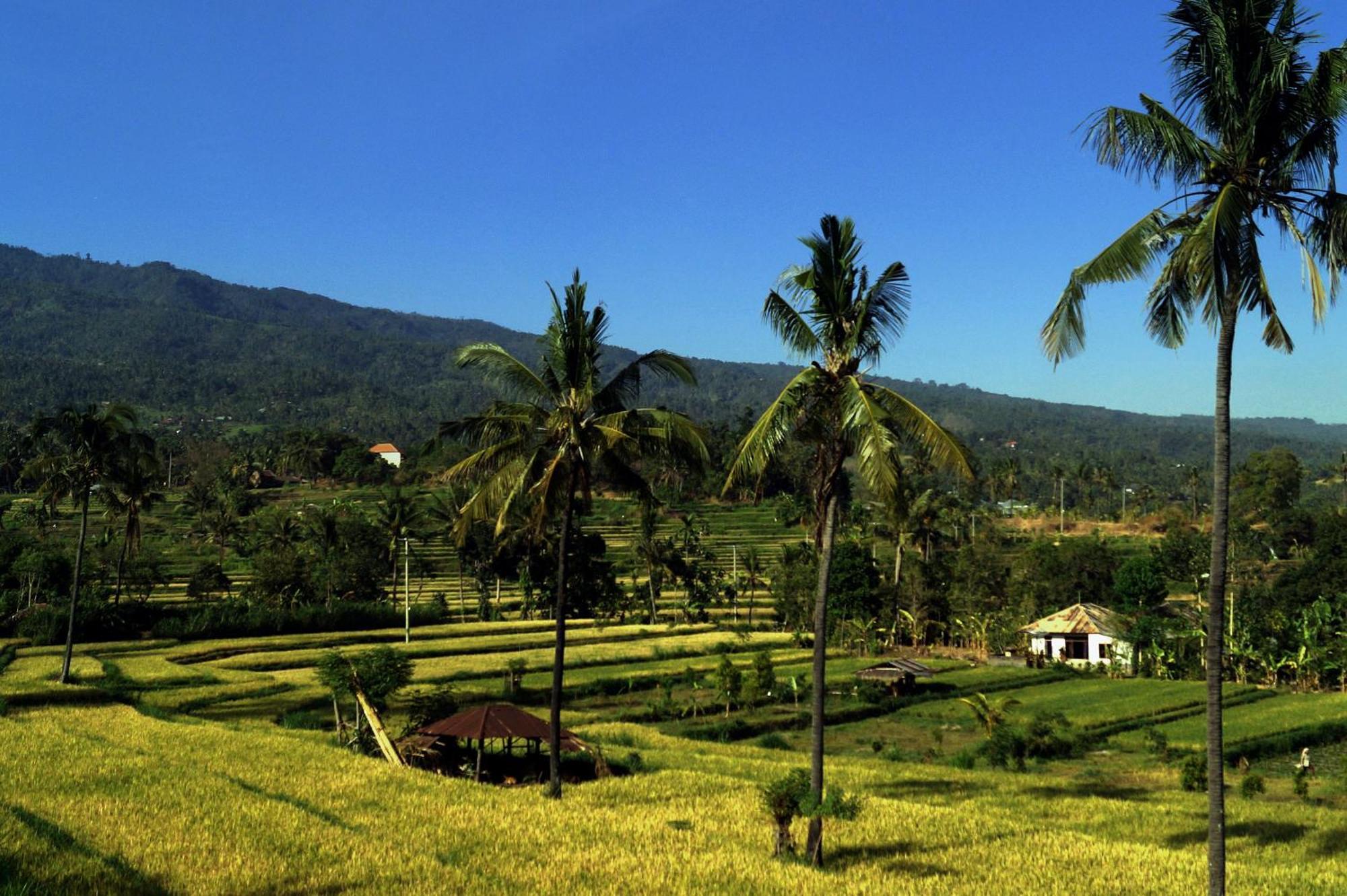 Hotel Lafyu Bali Singaraja Zewnętrze zdjęcie