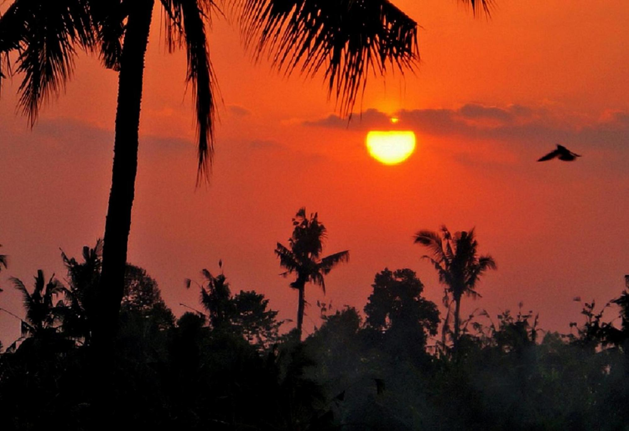Hotel Lafyu Bali Singaraja Zewnętrze zdjęcie