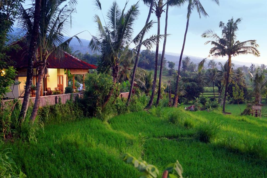 Hotel Lafyu Bali Singaraja Zewnętrze zdjęcie