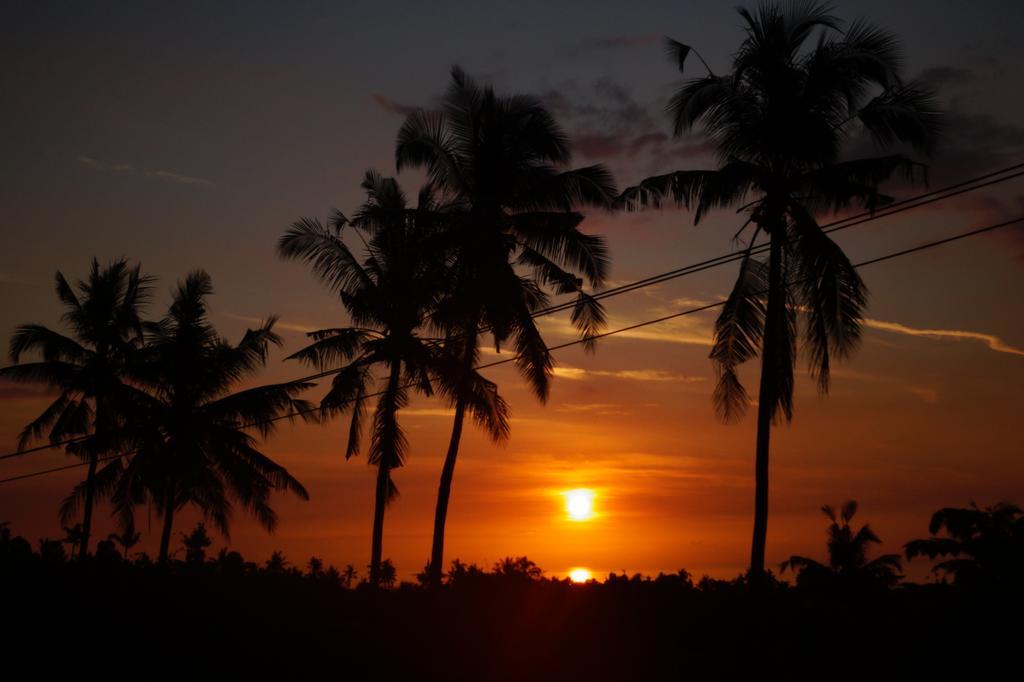 Hotel Lafyu Bali Singaraja Zewnętrze zdjęcie