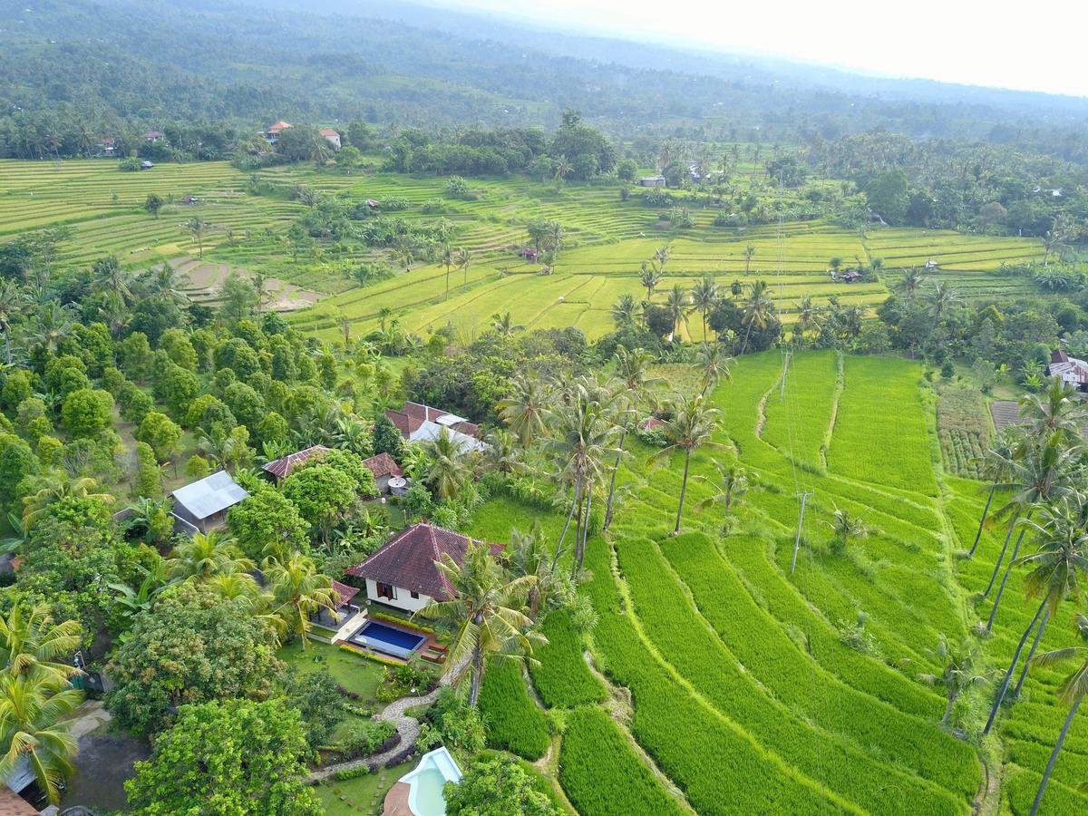 Hotel Lafyu Bali Singaraja Zewnętrze zdjęcie