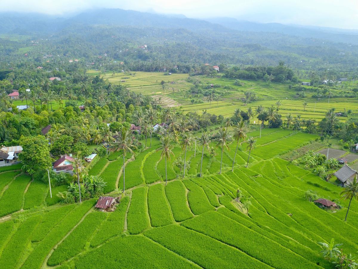 Hotel Lafyu Bali Singaraja Zewnętrze zdjęcie