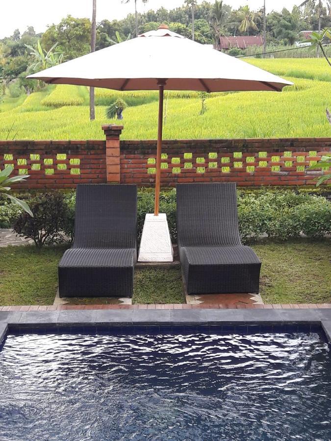 Hotel Lafyu Bali Singaraja Zewnętrze zdjęcie