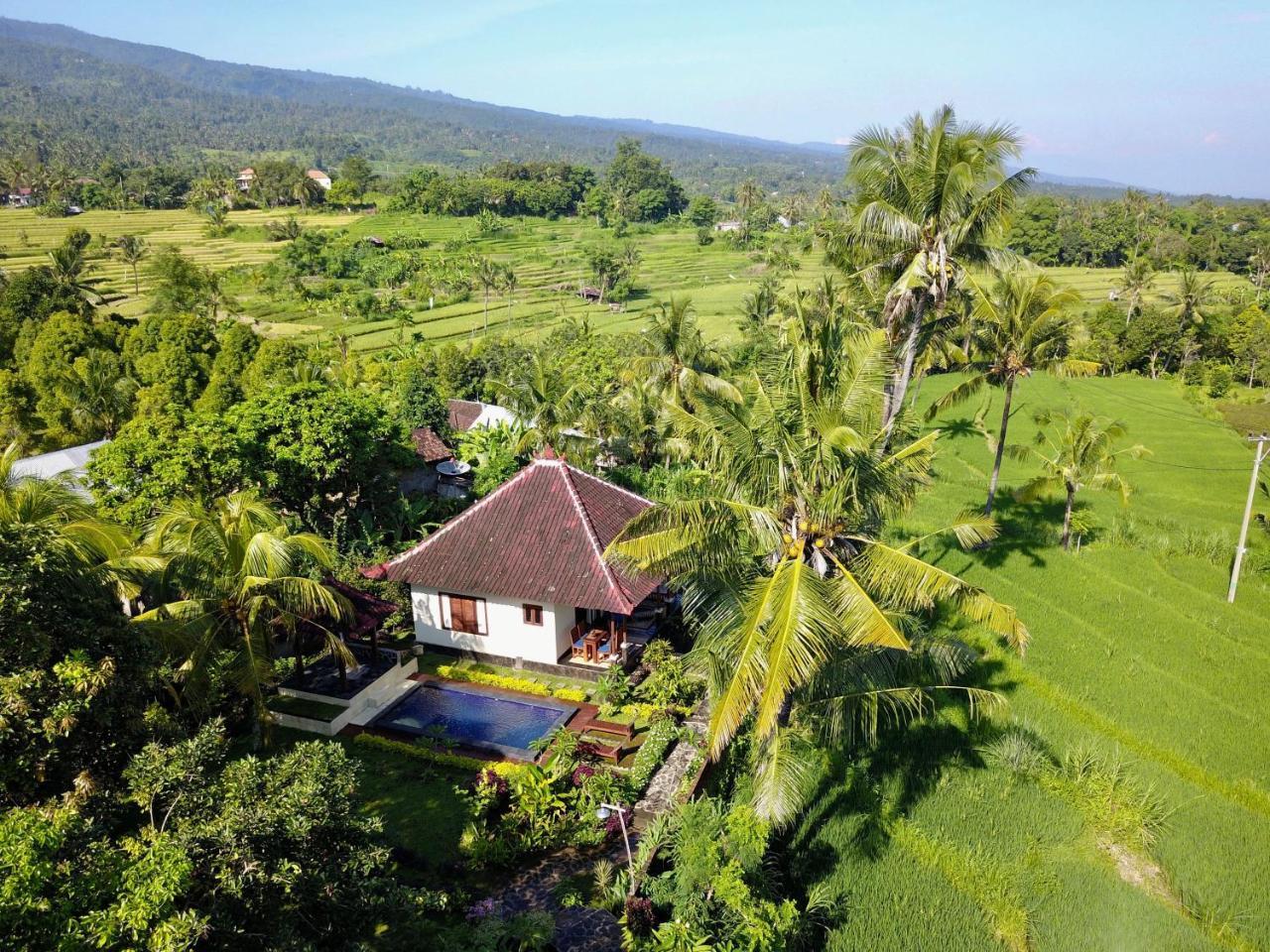 Hotel Lafyu Bali Singaraja Zewnętrze zdjęcie